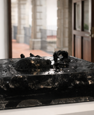Territory of Memory is a resin and black ceramic installation presented in the exhibition Mexican Skull: Identity and Memory at the Museo de la Cancillería, Mexico City, 2026.